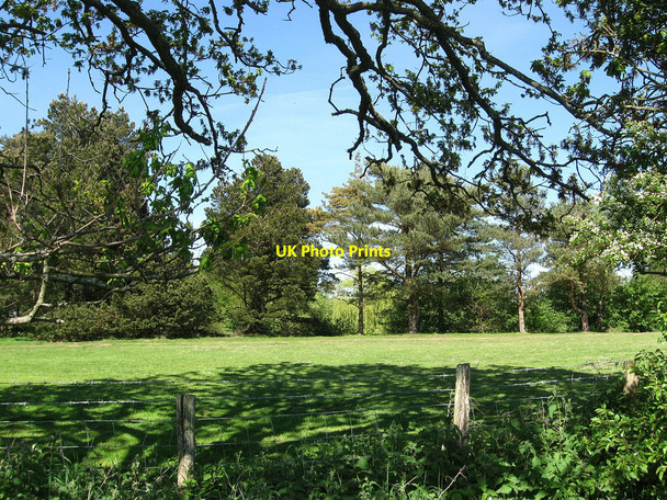 Photo 6"x4" Hither Pea Field Eckington Corner c2010