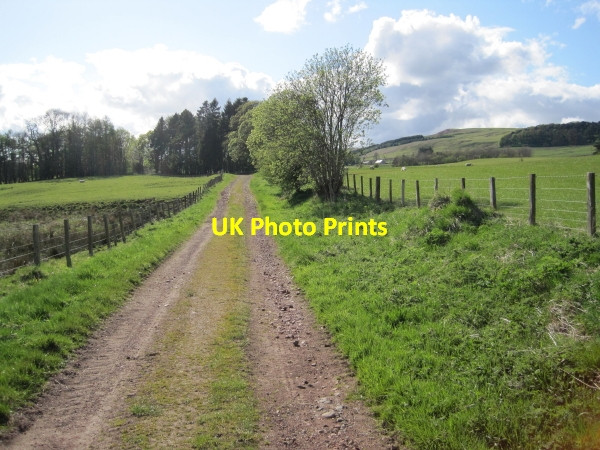 Photo 6"x4" Track towards Biddlestone Netherton\/NT9807 c2010