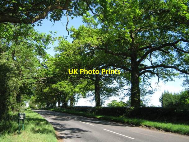 Photo 6"x4" Table Oak Lane: 1 Meer End c2010