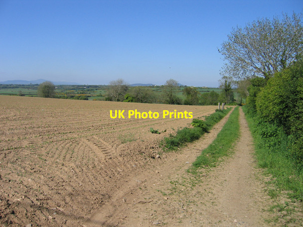 Photo 6"x4" Arable farmland near Tullerstown, Co. Wexford Gusserane c2010