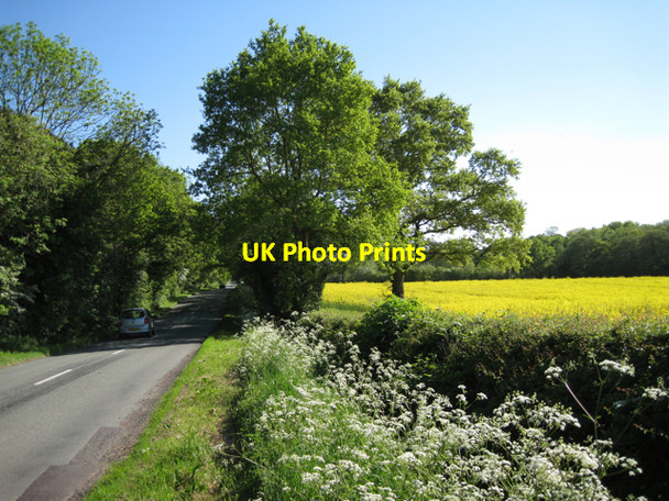 Photo 6"x4" Holly Lane Meer End c2010