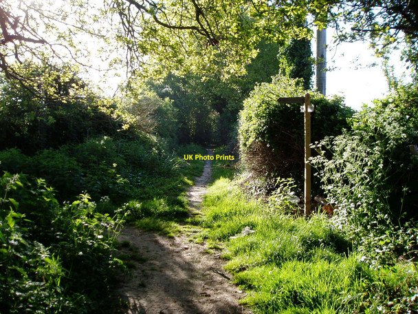Photo 6"x4" Junction on public footpath 166 Burndell c2010