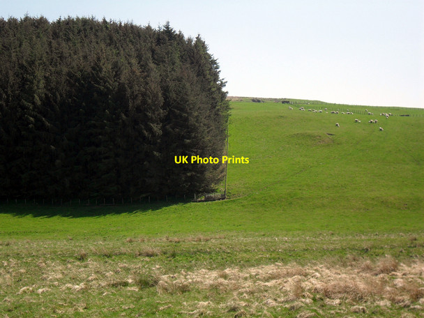 Photo 6"x4" The Cow Burn Corrie Common c2010