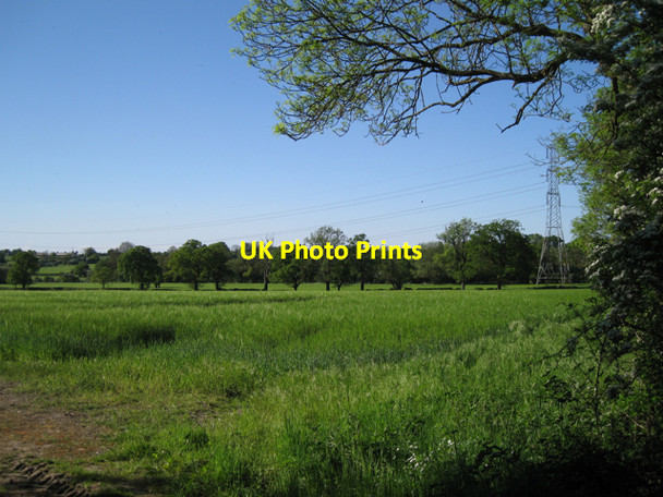Photo 6"x4" Field of barley by Holly Lane Balsall c2010
