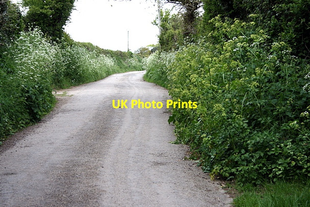 Photo 6"x4" Unclassified road near Higher Lanner Farm Coombe\/SW8340 c2010
