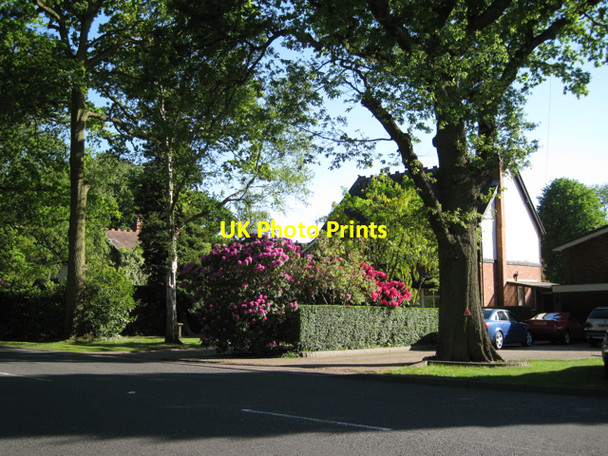 Photo 6"x4" Detached houses, Kenilworth Road Balsall c2010