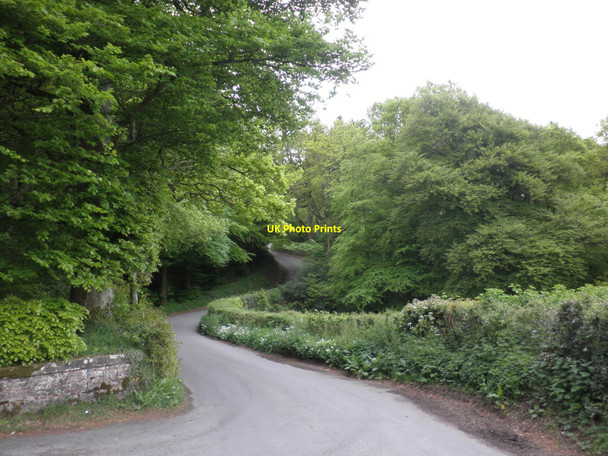 Photo 6"x4" Minor Road to Birch Cross Longdown\/SX8691 c2010