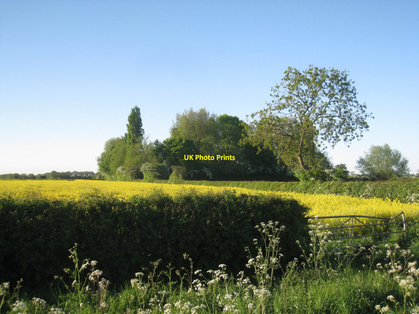Photo 6"x4" Wood near Langford Holme\/SK8059 c2010