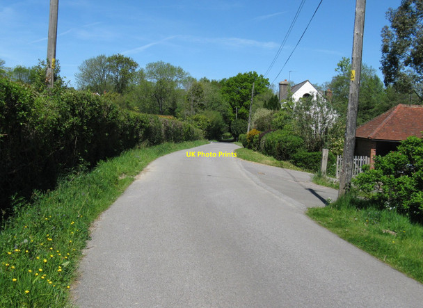 Photo 6"x4" Nursery Lane north to Tinker's Lane Waldron Down c2010