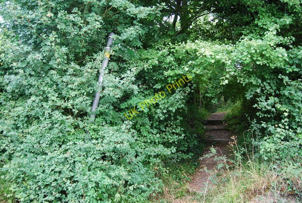 Photo 6"x4" Footpath signposted off Hale Oak Rd Hall's Green\/TQ5249 c2009