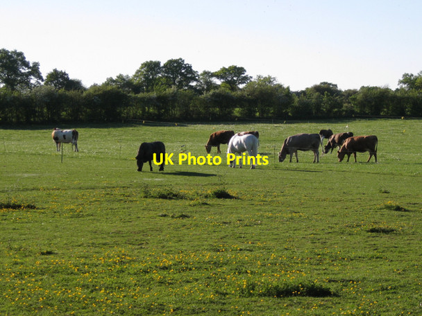 Photo 6"x4" Paddocks, Chesterton Farm Meer End c2010