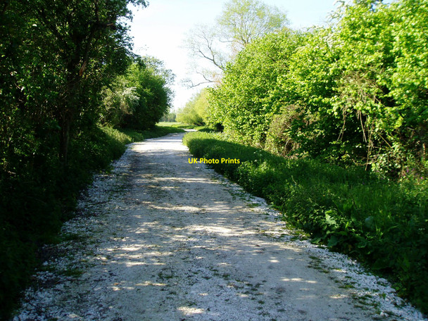 Photo 6"x4" Public footpath 355 North End\/SU9804 c2010