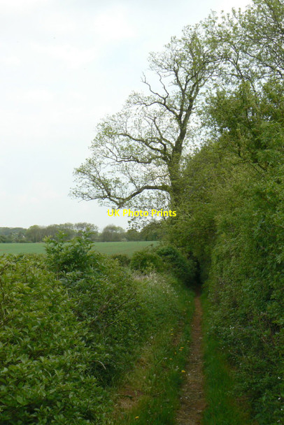 Photo 6"x4" Footpath to Hucknall Westville\/SK5147 c2010
