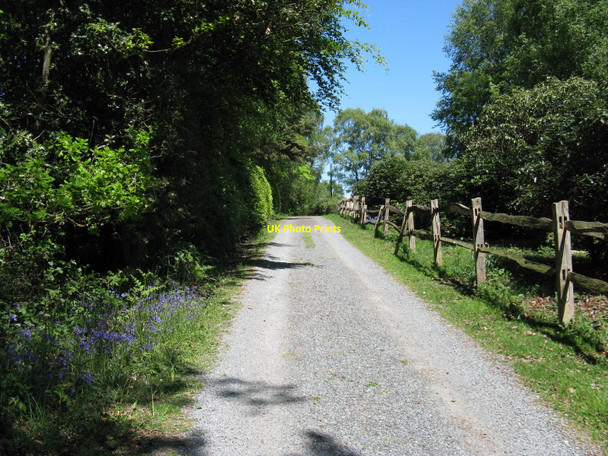 Photo 6"x4" Driveway and footpath near Waldron Down farm Waldron Down c2010