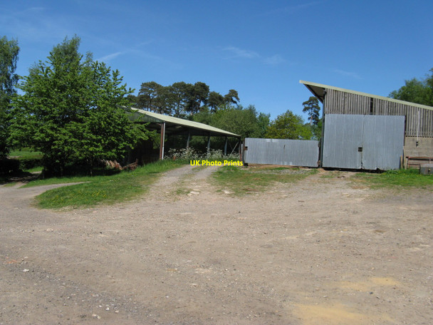 Photo 6"x4" Barns at Waldron Down Farm Waldron Down c2010