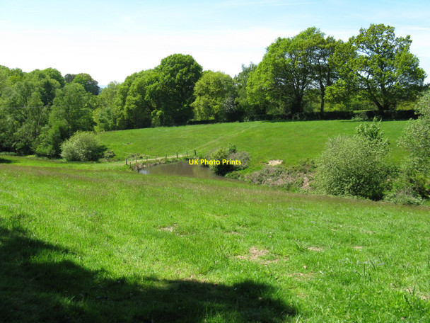 Photo 6"x4" Pond in field near path to Sheepwash Farm Waldron Down c2010