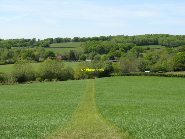 Photo 6"x4" Clear path off Sheepwash Lane Waldron Down c2010