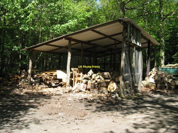 Photo 6"x4" Woodcutters yard near Shawford Farm Pounsley c2010
