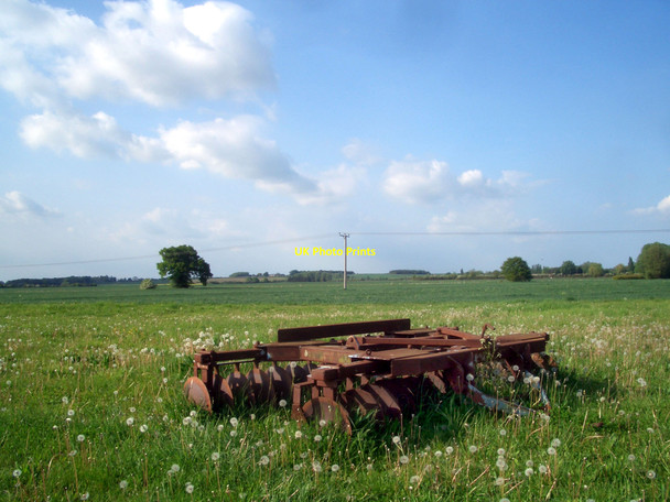 Photo 6"x4" Rust and Dandelions Roke c2010