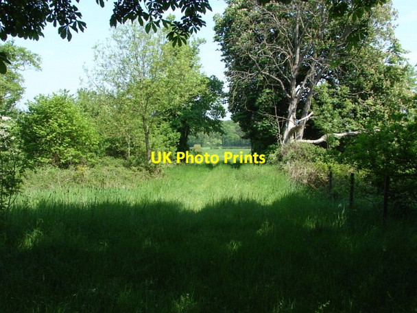 Photo 6"x4" Flexford, Surrey Flexford\/SU9250 c2010