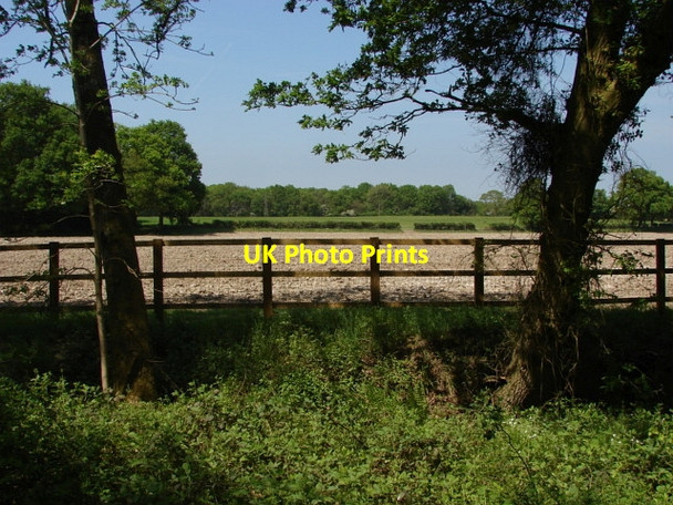 Photo 6"x4" Fields near Flexford Flexford\/SU9250 c2010