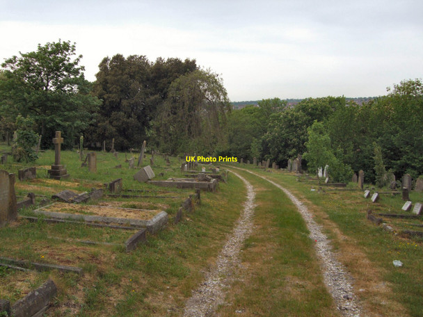 Photo 6"x4" Path through Brighton Borough Cemetery Brighton\/TQ3106 c2010