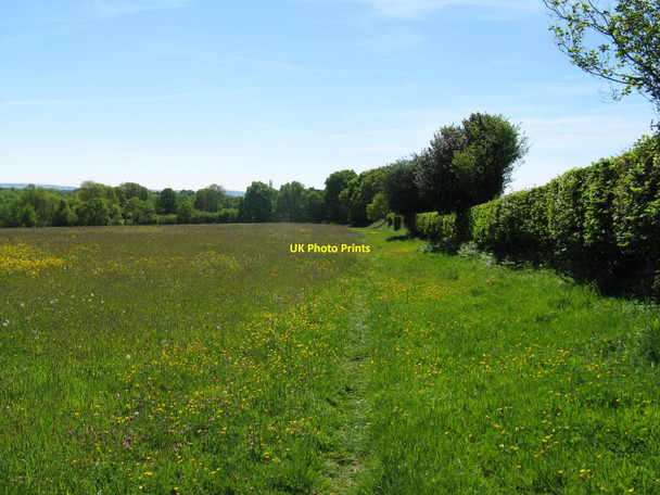 Photo 6"x4" Footpath linking Shepherds Hill with Pound Lane Pounsley c2010