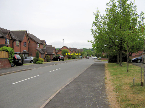 Photo 6"x4" Smokies Way Biddulph c2010