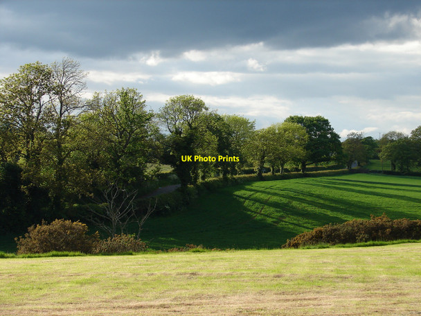 Photo 6"x4" Evening sunshine Portadown c2010