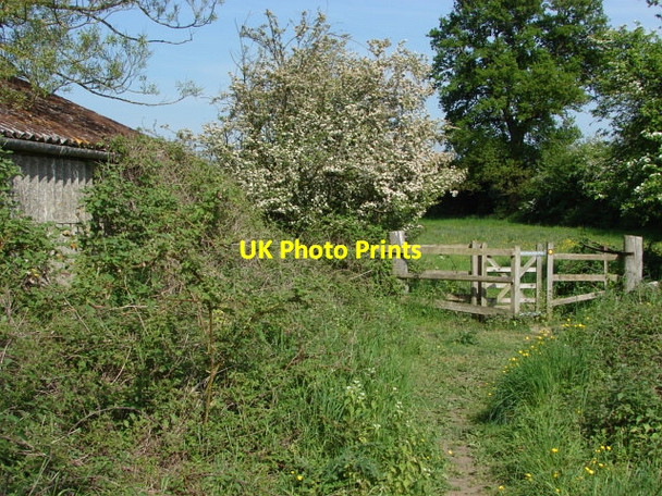 Photo 6"x4" Strawberry Farm Willey Green c2010
