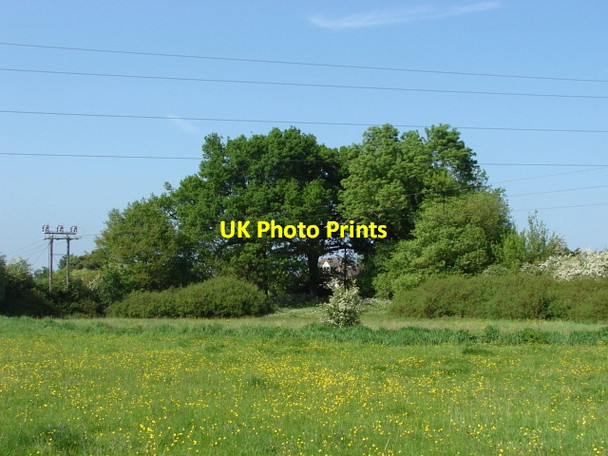 Photo 6"x4" Cleygate Farm Willey Green c2010