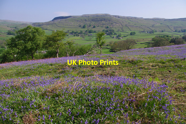 Photo 6"x4" Oxenber Wood Town Head\/SD7768 c2010