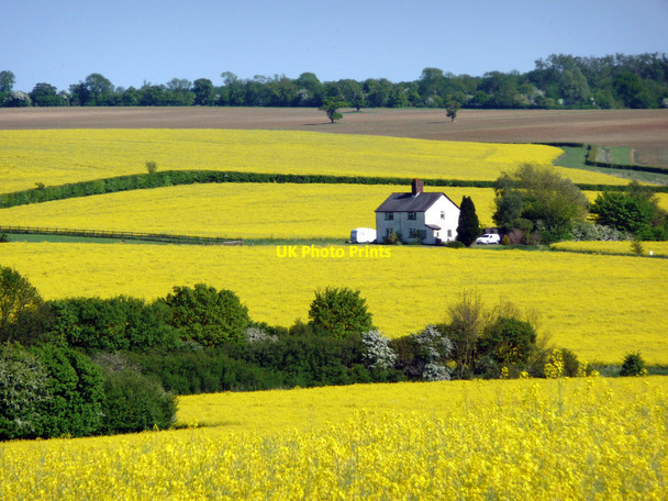 Photo 6"x4" Quinbury Farm near Hay Street, Hertfordshire Hay Street c2010