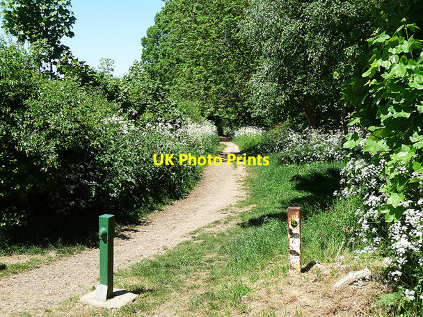 Photo 6"x4" Footpath, Banstead (1) Banstead c2010