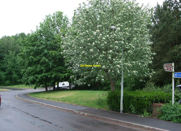 Photo 6"x4" Hillside Drive, Horam Horam c2010