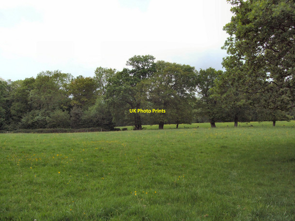 Photo 6"x4" Farmland near Horam Maynard's Green c2010