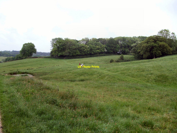 Photo 6"x4" Farm near Vines Cross Maynard's Green c2010
