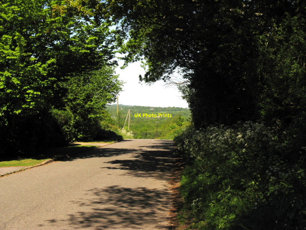 Photo 6"x4" Waghorns Lane Hadlow Down Hadlow Down c2010