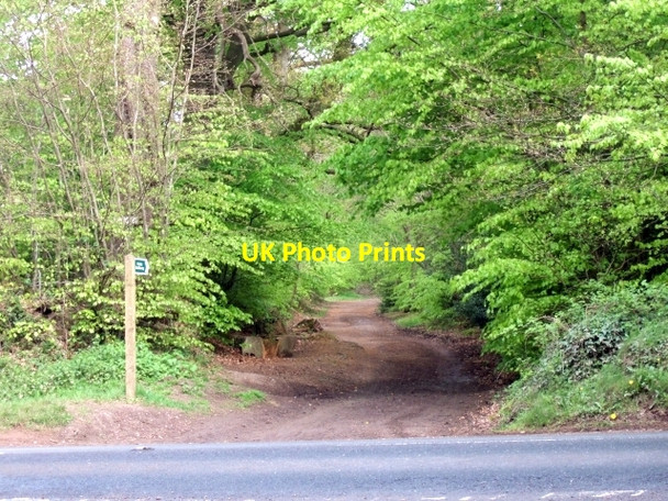 Photo 6"x4" Bridleway off the B3180 Woodmanton\/SY0185 c2010