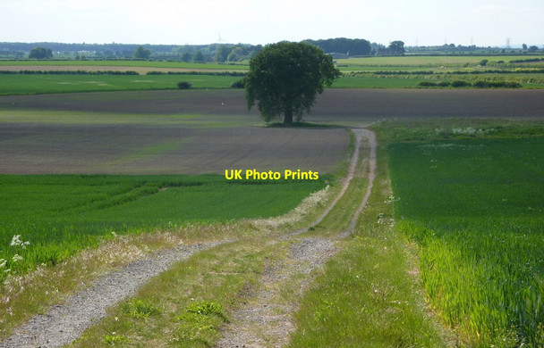 Photo 6"x4" Farm track through open countryside Retford c2010