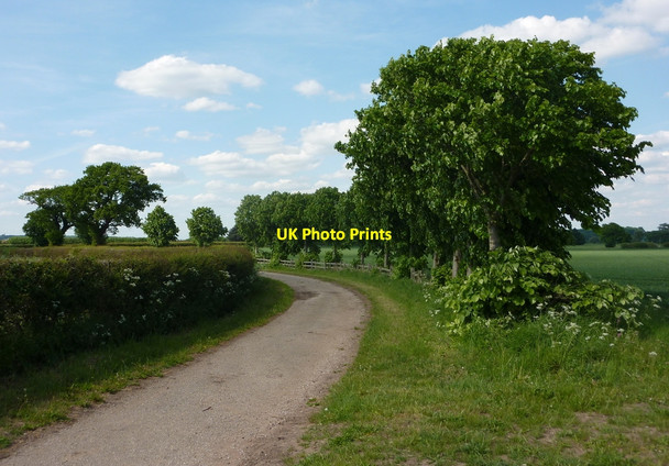 Photo 6"x4" Bridleway to Morton Grange Elkesley c2010