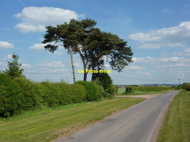Photo 6"x4" Old London Road Elkesley c2010 P1