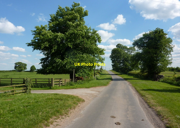 Photo 6"x4" Old London Road, looking south Babworth c2010