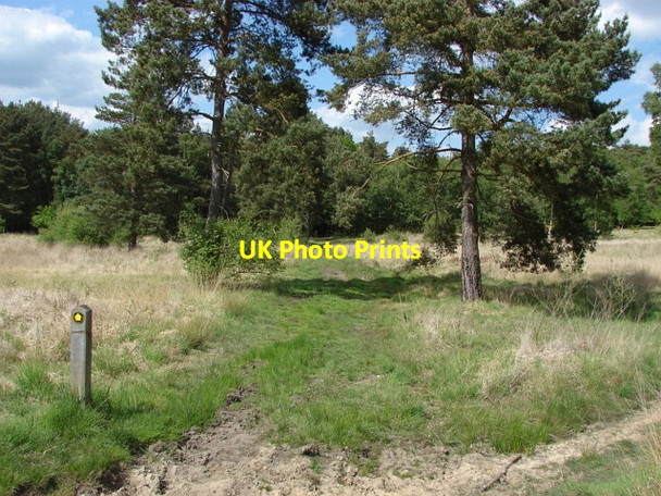 Photo 6"x4" Stanners Hill Stonehill\/TQ0063 c2010