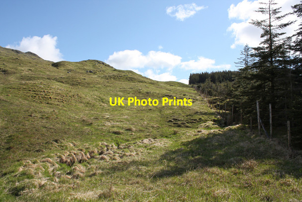 Photo 6"x4" Northern edge of Glenetive Forest Meall a' Bhuiridh\/NN1250 c2010
