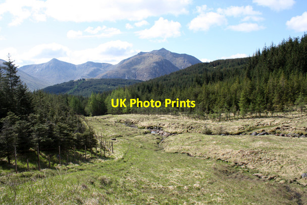 Photo 6"x4" Glen Etive Forest Glenetive Forest c2010