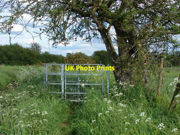 Photo 6"x4" Horsell Common Mimbridge c2010