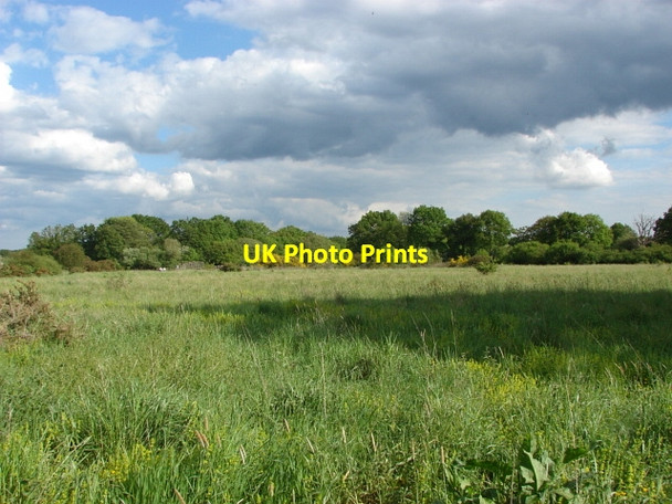 Photo 6"x4" Horsell Common Mimbridge c2010