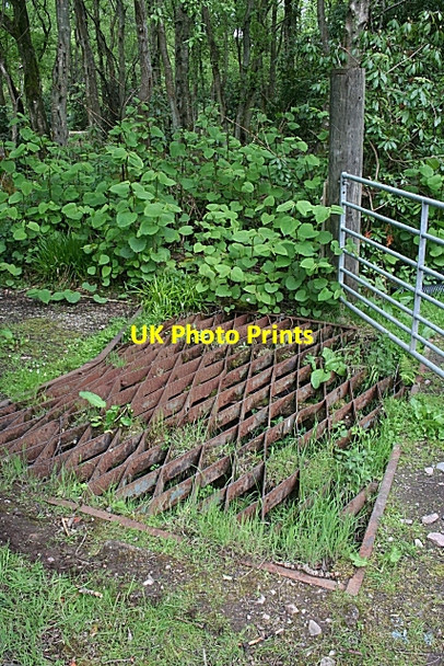 Photo 6"x4" Unusual Cattle Grid Stonehaven c2010
