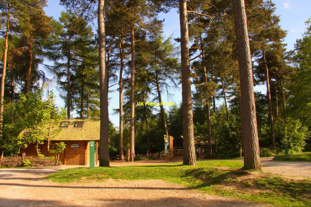 Photo 6"x4" The entrance to Go Ape Wendover c2010